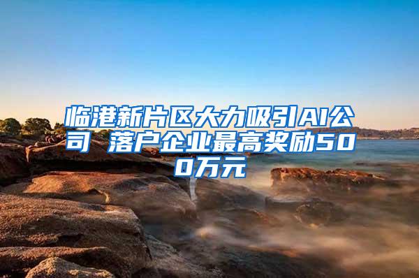 临港新片区大力吸引AI公司 落户企业最高奖励500万元