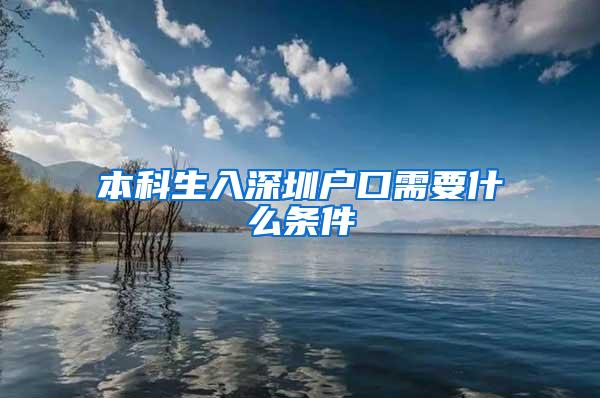 本科生入深圳户口需要什么条件