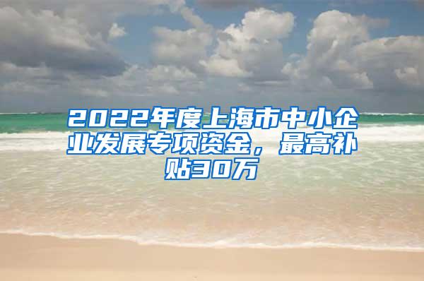 2022年度上海市中小企业发展专项资金，最高补贴30万