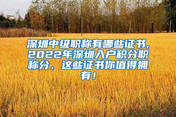 深圳中级职称有哪些证书,2022年深圳入户积分职称分，这些证书你值得拥有！