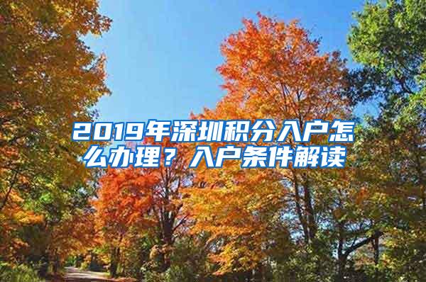 2019年深圳积分入户怎么办理？入户条件解读