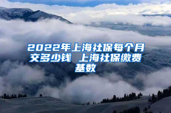 2022年上海社保每个月交多少钱 上海社保缴费基数