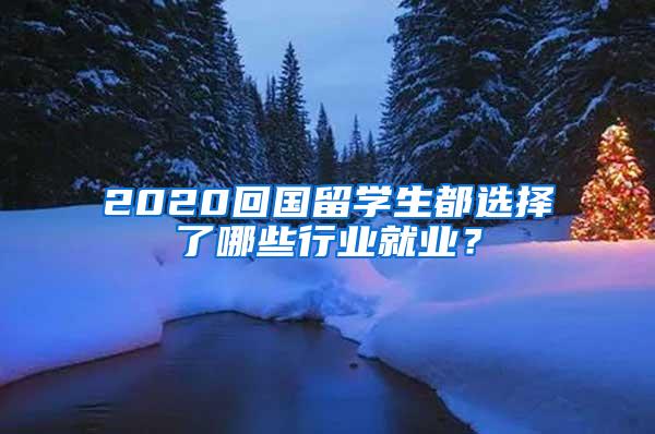 2020回国留学生都选择了哪些行业就业？