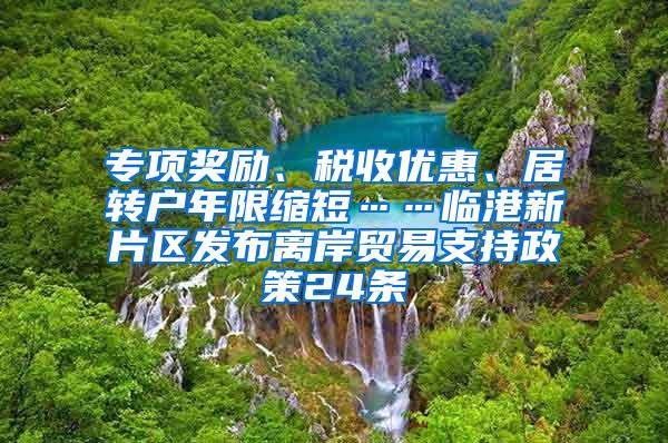 专项奖励、税收优惠、居转户年限缩短……临港新片区发布离岸贸易支持政策24条