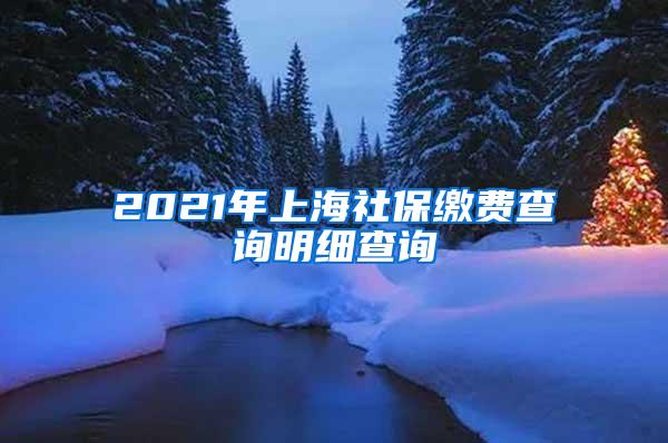 2021年上海社保缴费查询明细查询