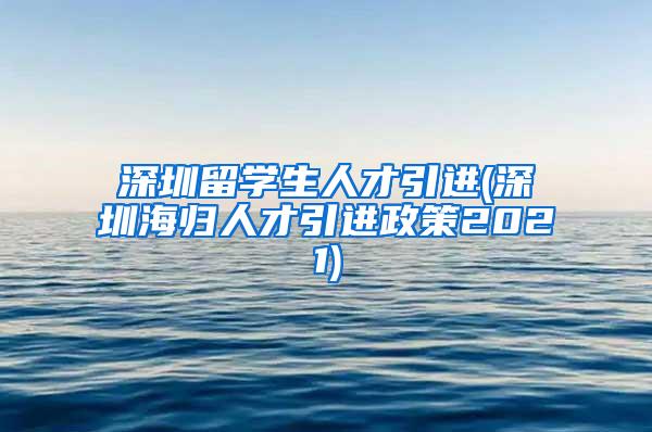 深圳留学生人才引进(深圳海归人才引进政策2021)