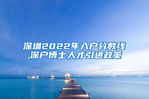 深圳2022年入户分数线,深户博士人才引进政策