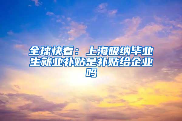 全球快看：上海吸纳毕业生就业补贴是补贴给企业吗