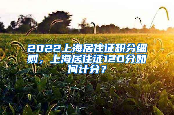 2022上海居住证积分细则，上海居住证120分如何计分？