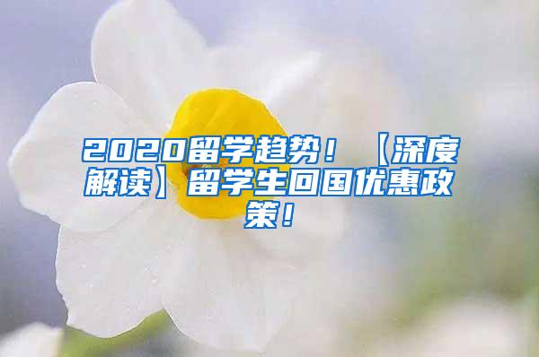 2020留学趋势！【深度解读】留学生回国优惠政策！