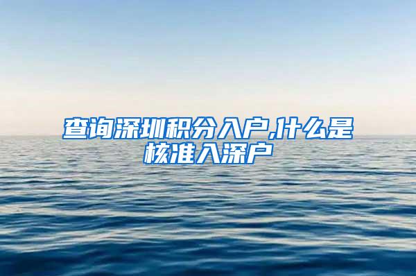 查询深圳积分入户,什么是核准入深户