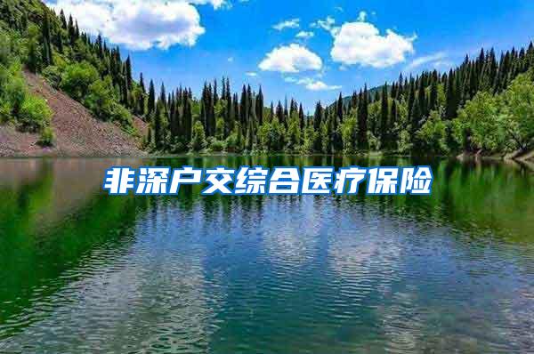 非深户交综合医疗保险