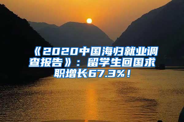 《2020中国海归就业调查报告》：留学生回国求职增长67.3%！