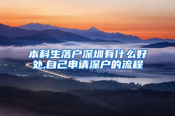 本科生落户深圳有什么好处,自己申请深户的流程