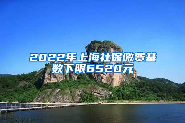 2022年上海社保缴费基数下限6520元