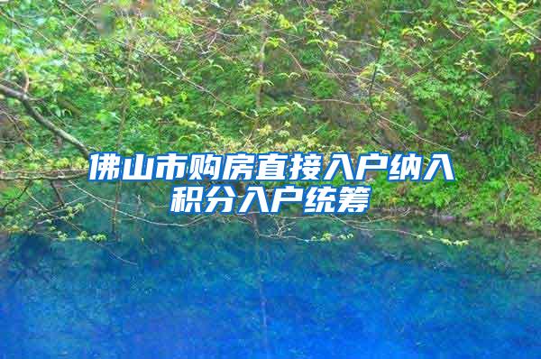 佛山市购房直接入户纳入积分入户统筹