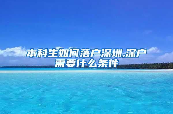 本科生如何落户深圳,深户需要什么条件