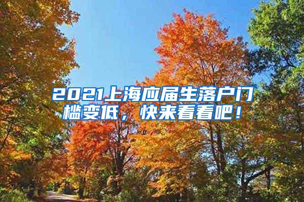 2021上海应届生落户门槛变低，快来看看吧！