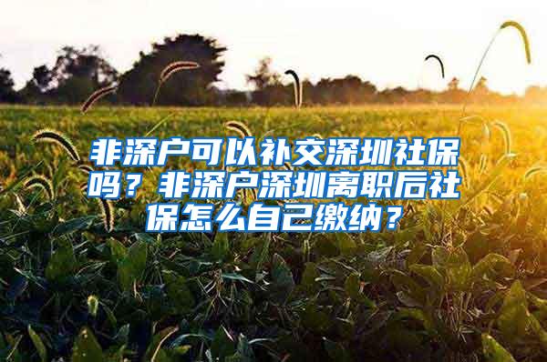 非深户可以补交深圳社保吗？非深户深圳离职后社保怎么自己缴纳？