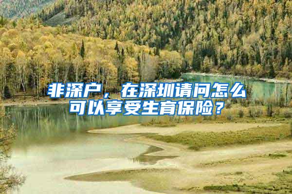 非深户，在深圳请问怎么可以享受生育保险？