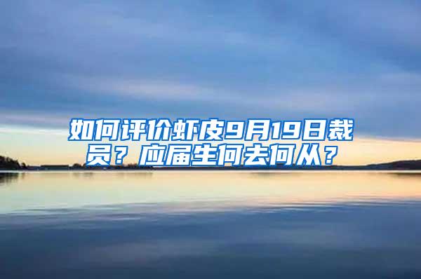 如何评价虾皮9月19日裁员？应届生何去何从？