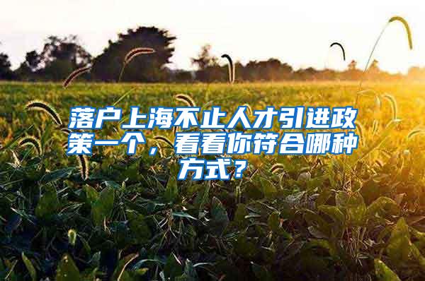 落户上海不止人才引进政策一个，看看你符合哪种方式？