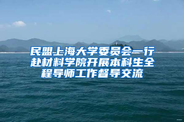 民盟上海大学委员会一行赴材料学院开展本科生全程导师工作督导交流