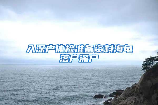 入深户体检准备资料海龟落户深户