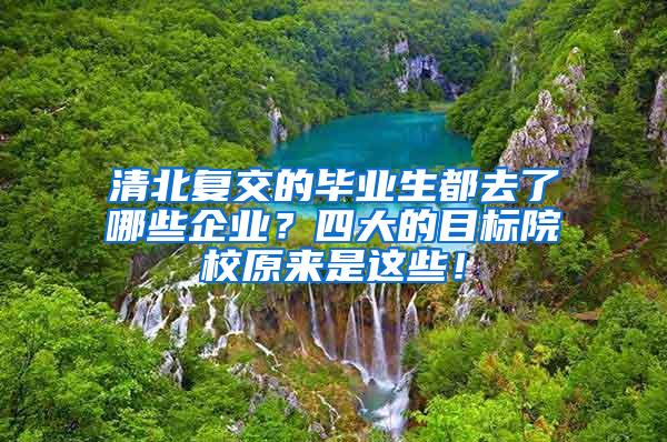 清北复交的毕业生都去了哪些企业？四大的目标院校原来是这些！