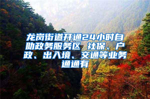 龙岗街道开通24小时自助政务服务区 社保、户政、出入境、交通等业务通通有