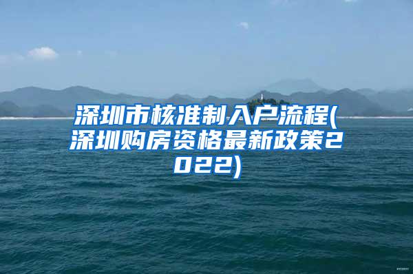 深圳市核准制入户流程(深圳购房资格最新政策2022)