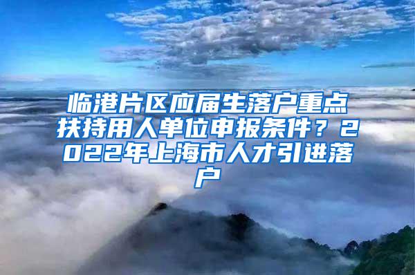 临港片区应届生落户重点扶持用人单位申报条件？2022年上海市人才引进落户