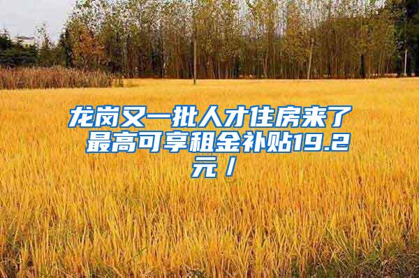 龙岗又一批人才住房来了 最高可享租金补贴19.2 元／㎡