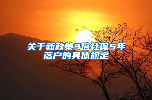 关于新政策3倍社保5年落户的具体规定