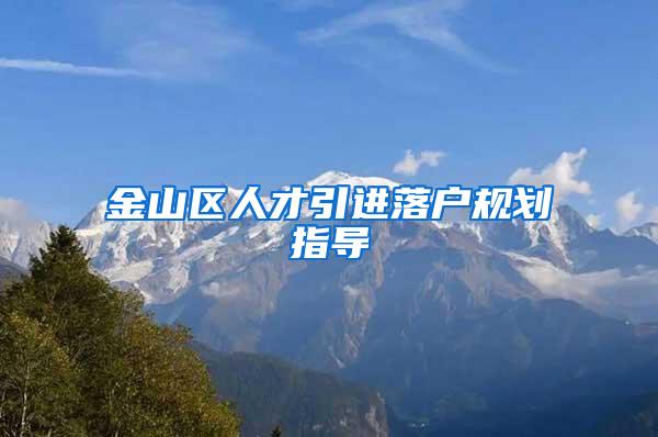 金山区人才引进落户规划指导