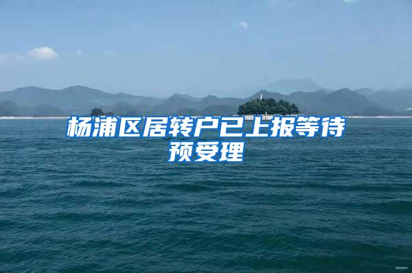 杨浦区居转户已上报等待预受理