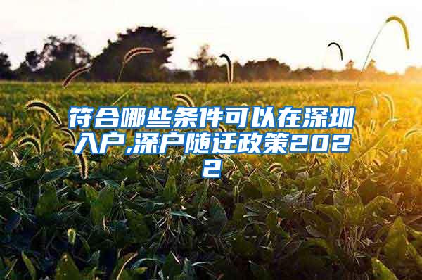 符合哪些条件可以在深圳入户,深户随迁政策2022