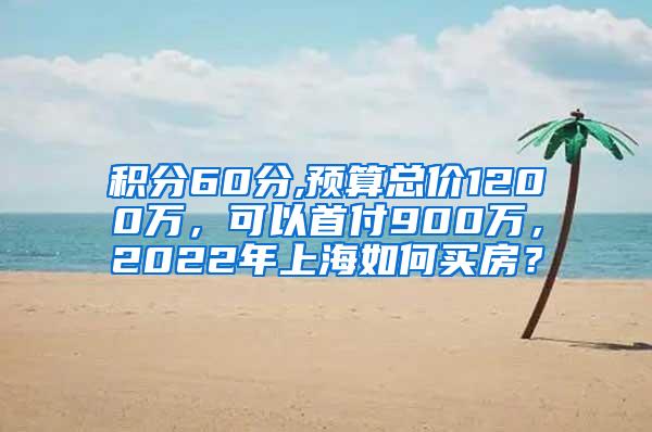 积分60分,预算总价1200万，可以首付900万，2022年上海如何买房？