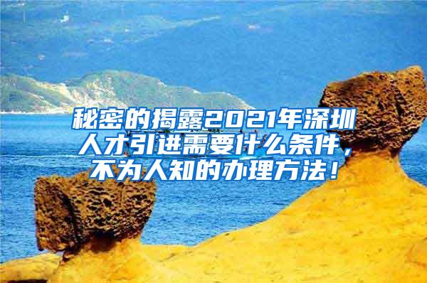 秘密的揭露2021年深圳人才引进需要什么条件，不为人知的办理方法！