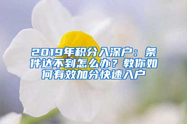 2019年积分入深户：条件达不到怎么办？教你如何有效加分快速入户