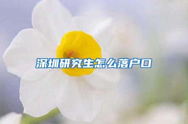 深圳研究生怎么落户口