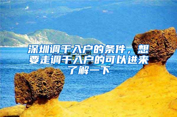 深圳调干入户的条件，想要走调干入户的可以进来了解一下