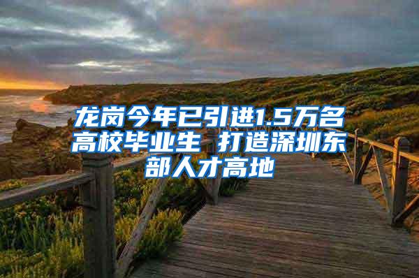 龙岗今年已引进1.5万名高校毕业生 打造深圳东部人才高地