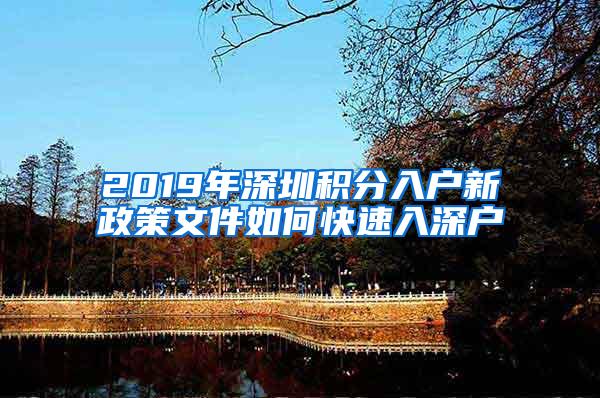 2019年深圳积分入户新政策文件如何快速入深户