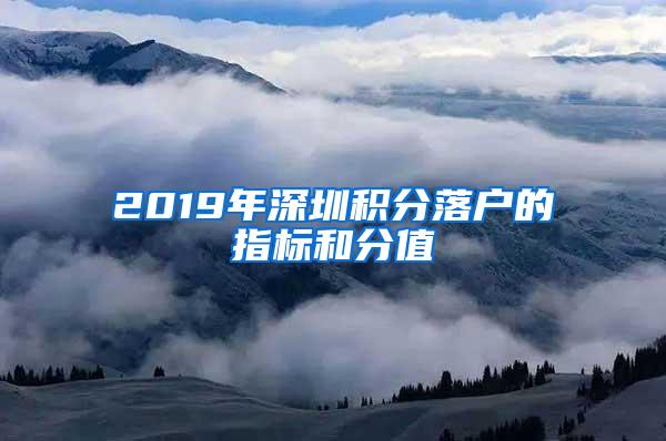 2019年深圳积分落户的指标和分值