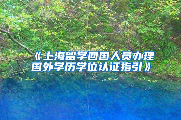 《上海留学回国人员办理国外学历学位认证指引》