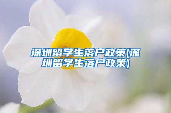 深圳留学生落户政策(深圳留学生落户政策)