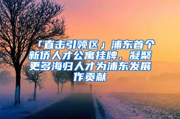 「直击引领区」浦东首个新侨人才公寓挂牌，凝聚更多海归人才为浦东发展作贡献