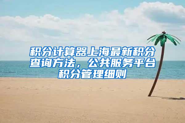 积分计算器上海最新积分查询方法，公共服务平台积分管理细则