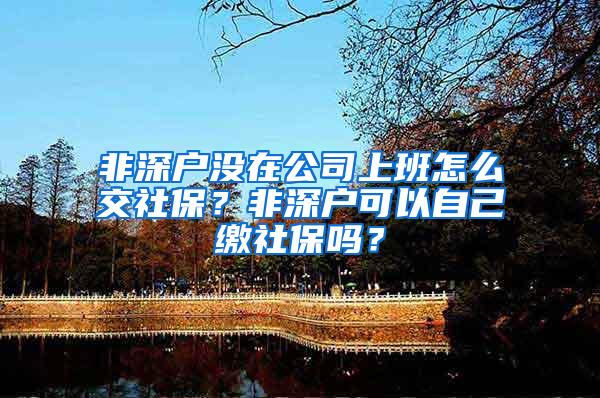 非深户没在公司上班怎么交社保？非深户可以自己缴社保吗？